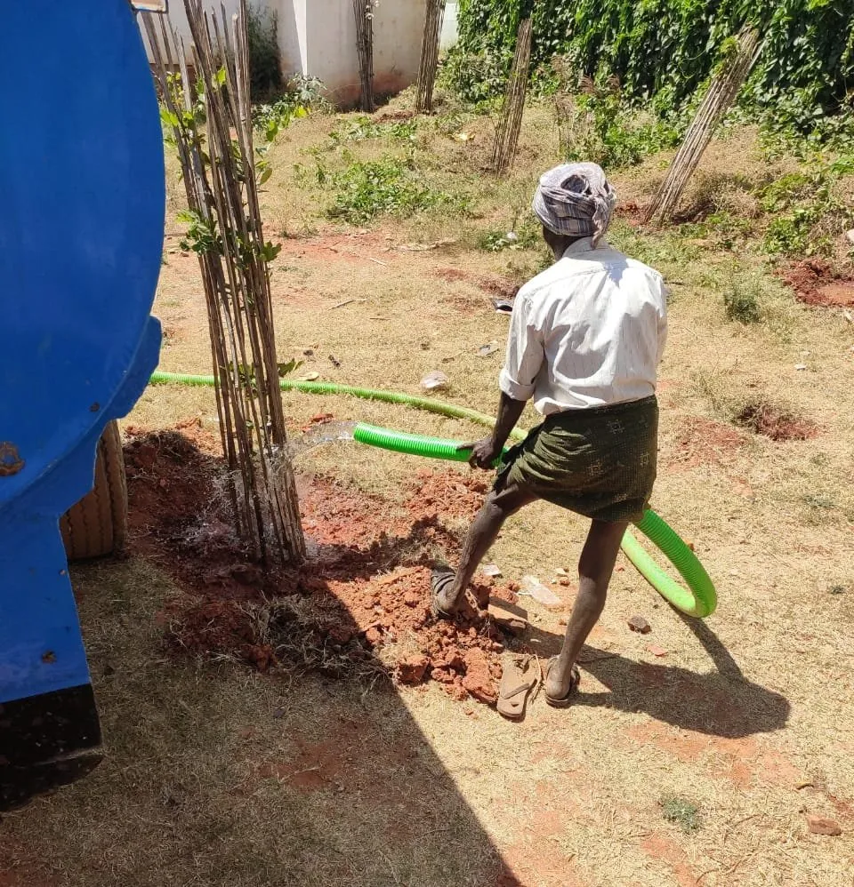 Worker watering a newly planted sapling from a water tanker