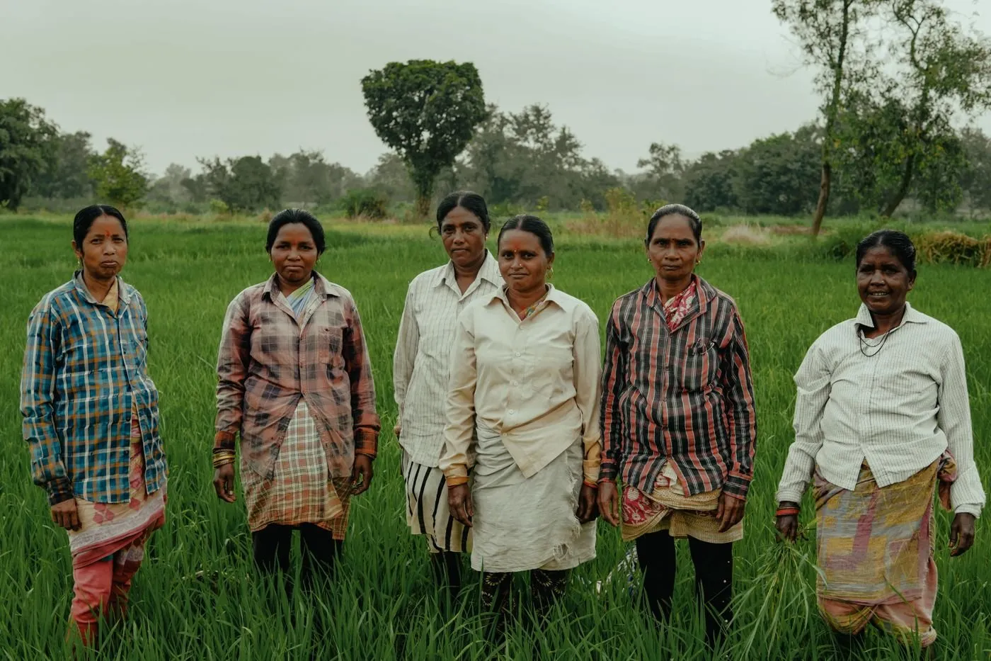 Women field workers standing in a green farm field